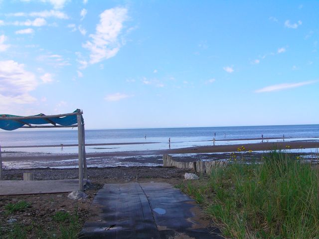 Loading Image