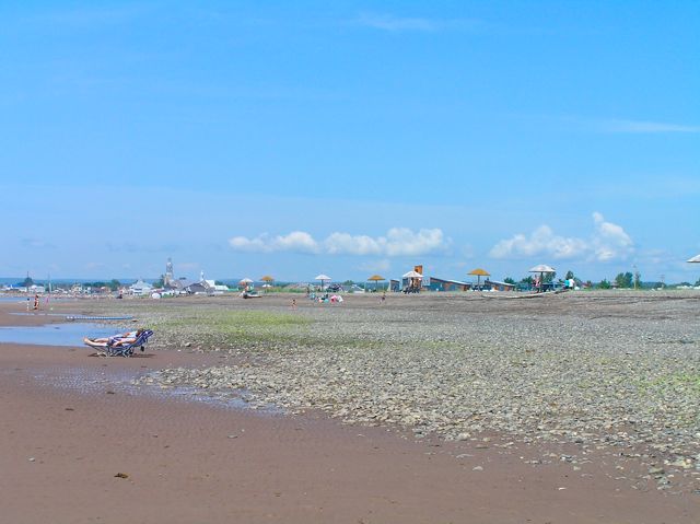 Loading Image