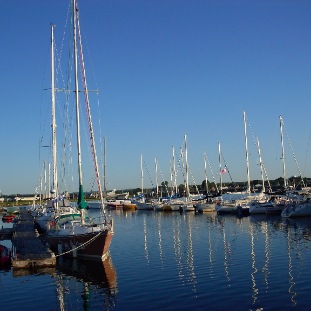 SDC10590