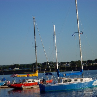 SDC10599